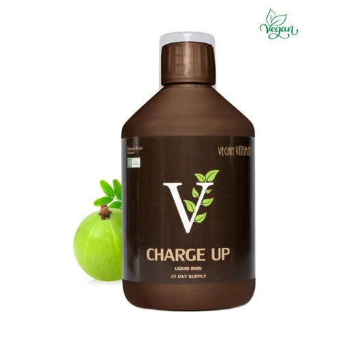 YOUR VITAMIN CHARGE UP (VEGÁN)